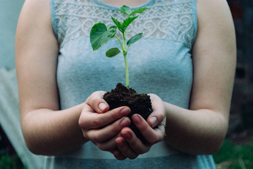 national-tree-day-2019-events-on-the-gold-coast