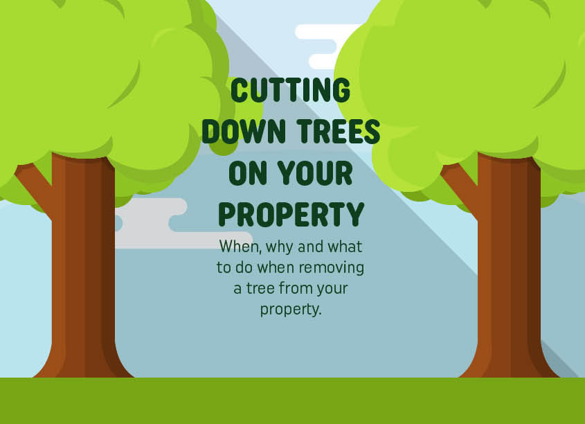 Cutting Down Trees On Your Property? Read This First! (Infographic)