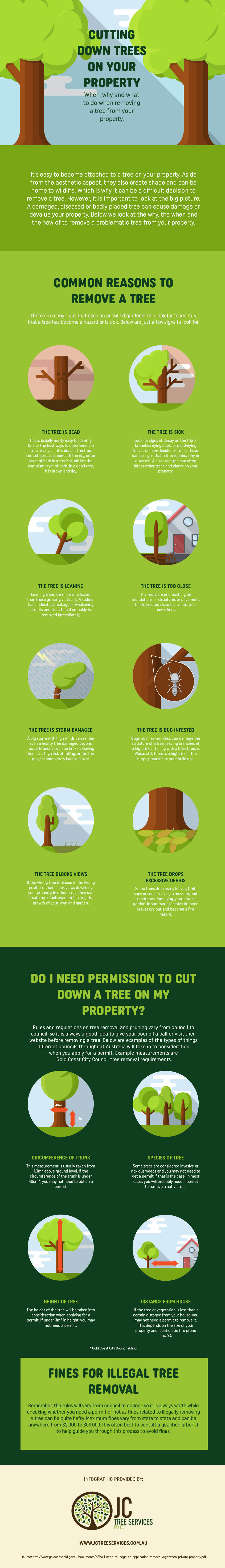 Cutting down trees on your property infographic