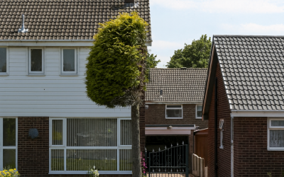 neighbours-trees-overhanging-my-property-Melbourne