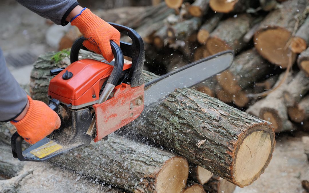 How To Use A Chainsaw Safely (5 Important Tips)