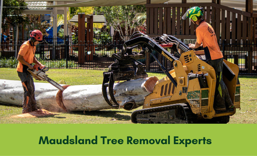 tree removal maudsland banner