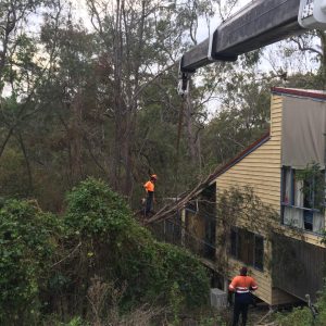 Emergency tree services