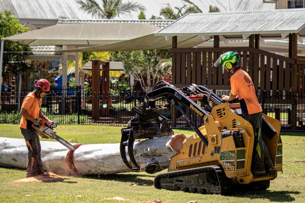 Tree Removal Services Gold Coast