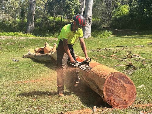 Land Clearing Services