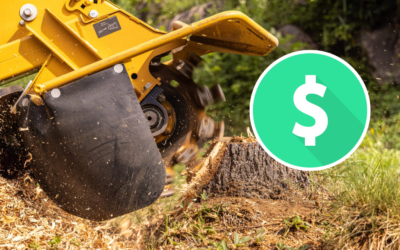 How Much Does Stump Grinding Cost?